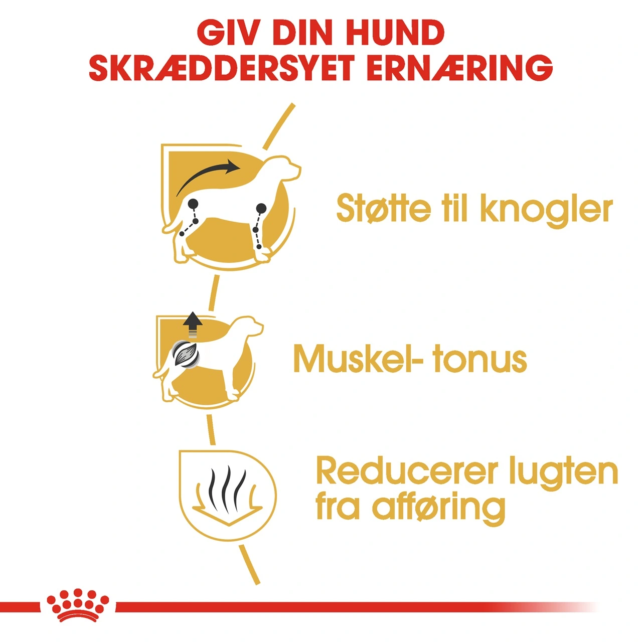 Royal Canin Dachshund Adult 1,5 kg - tørfoder til gravhunde